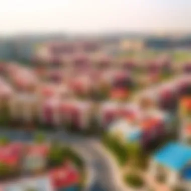 Aerial view of a vibrant community featuring Amigo Properties