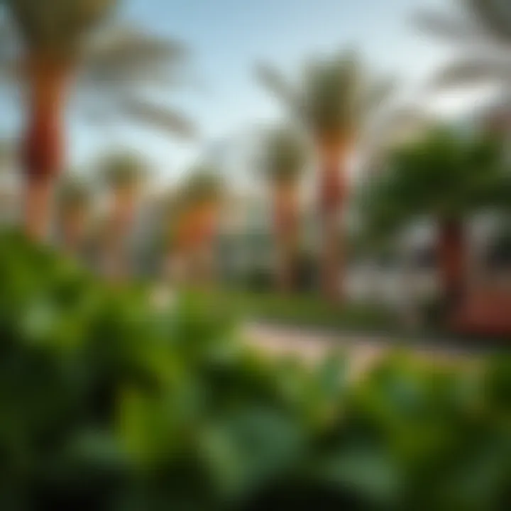 Community park in Shorooq Dubai with lush greenery