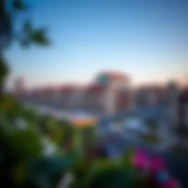Real estate development around Silicon Oasis