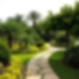 Lush greenery and walking paths in Al Mushrif Park